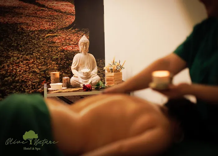 Olive Nature Hotel&SPA - Quinta Valle de Passos